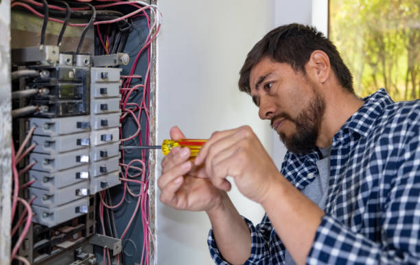 Best Industrial Electrical Services  in Interlachen, FL